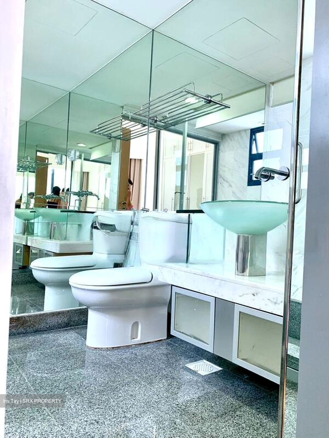 Water Place (D15), Condominium #452449601